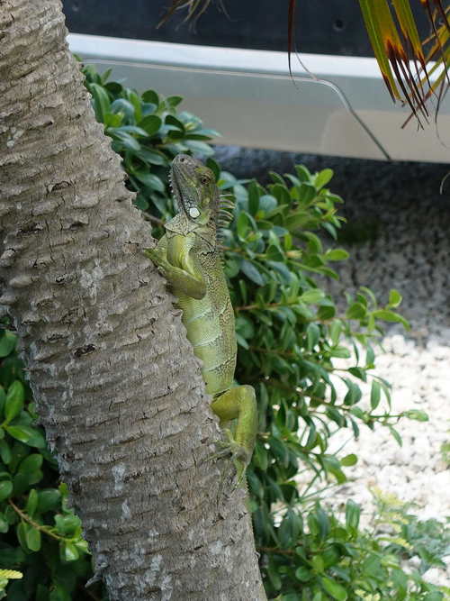 MIA_2023-08-11 11-52-44_RX_05846